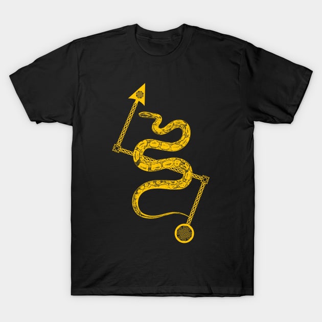 Pictish Serpent with Z Rod T-Shirt by Wareham Spirals